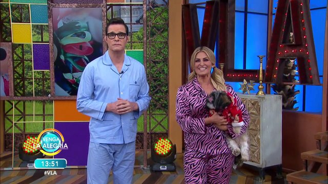 ¡Trucos efectivos para entrenar a tu mascota! | Venga La Alegría