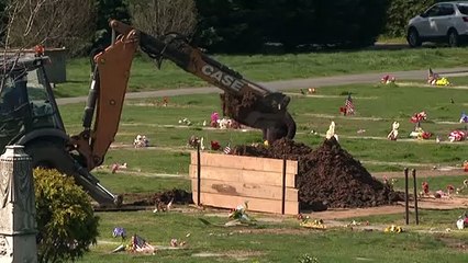 مقابر نيويورك غير قادرة على استقبال مزيد من الموتى جراء كوفيد-19