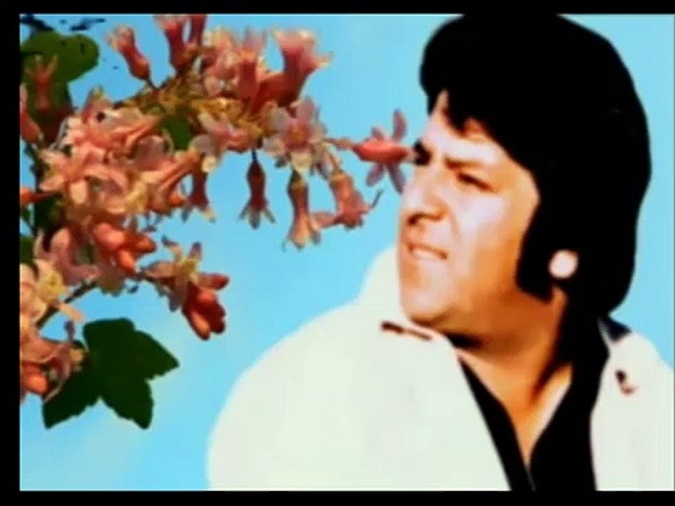 Ahmad Zahir - نمیدانم به روی کی بخندم