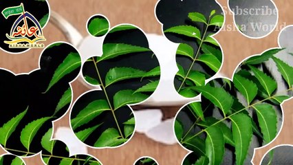 daad ki dawa || daad khaj khujli ka ilaj || fungal infection treatment || #aishaworld #AISHAWORLD