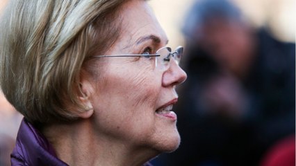 Senator Warren: Issues With 'Little Oversight' Of Stimulus Programs