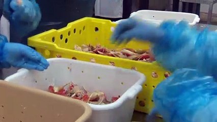 16 avril-topo-aide financières saisonniers