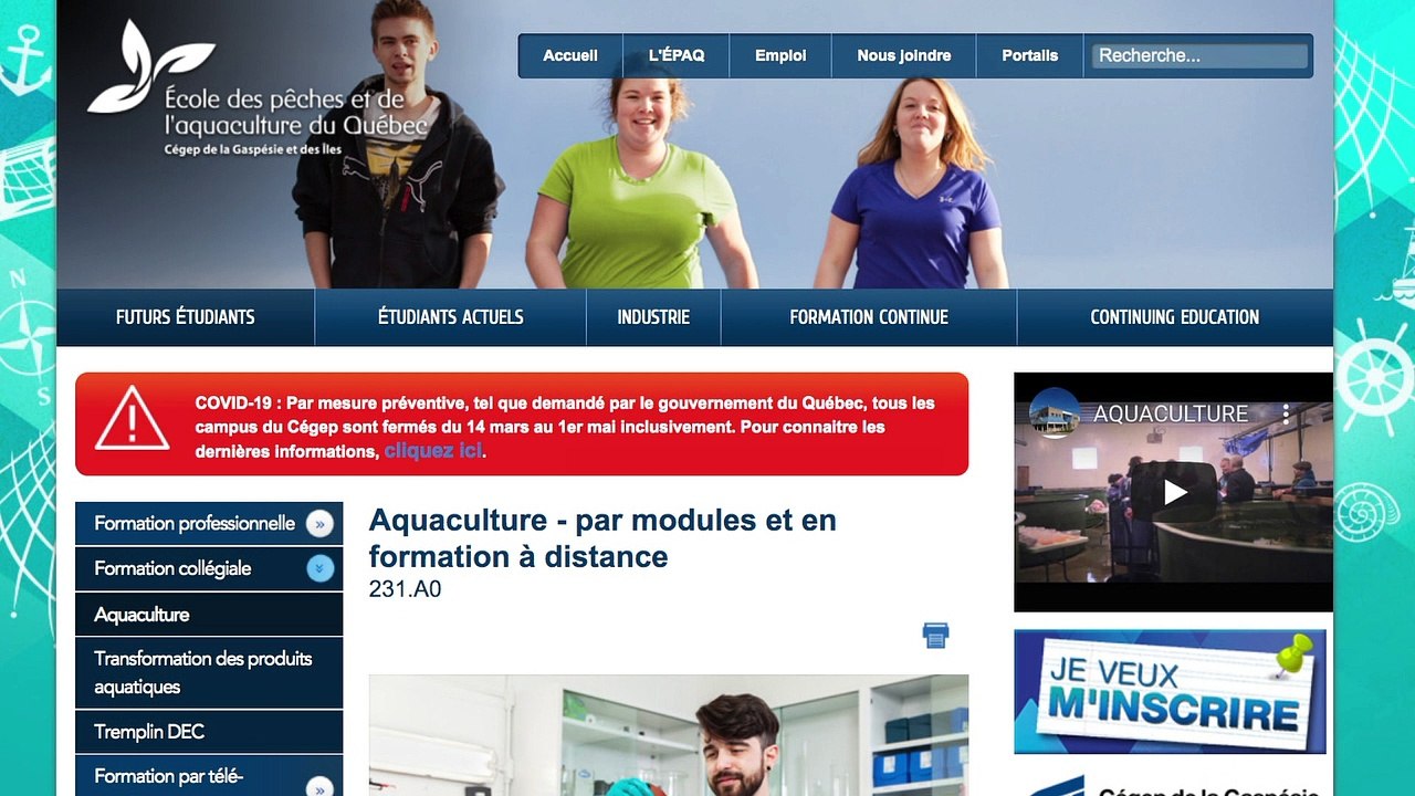 Des cours à distance pour les Cégeps