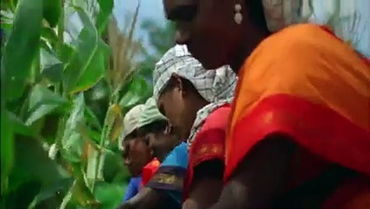 Arokya Milk Tamil TVC