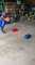 Kid Dribbles Basketball While Skateboarding Through Obstacle Course
