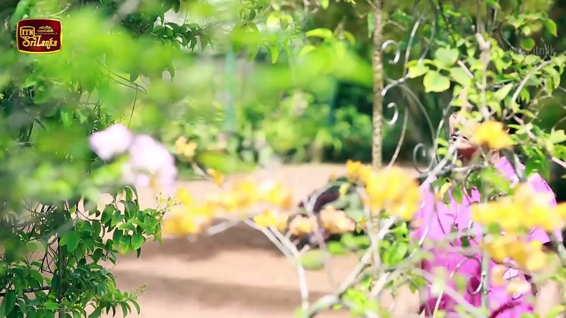 008.Sanda Hangila _ Episode 08 - (2018-12-13) _ ITN