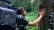 Italia: El bosque que cuenta el cambio climático