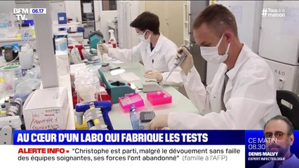 Coronavirus: comment sont fabriqués les tests de dépistage sérologiques ?