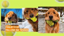 Finley e il suo amore per le palline da tennis