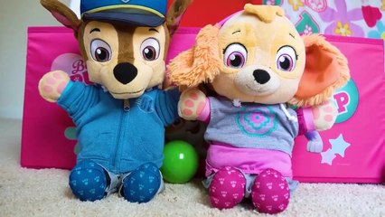 Paw Patrol's Skye and Chase's fun day at the Playground and No Bullying