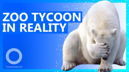 Desperate German Zoo Threatens to Feed Animals to Each Other