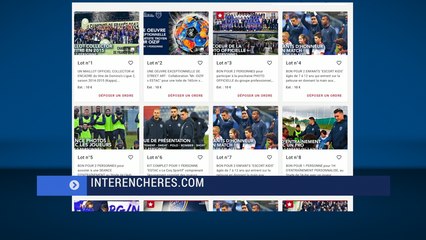 Une vente aux enchères caritative et solidaire