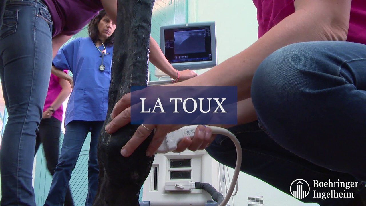 La toux 2020