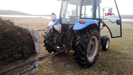 Yardımcı bulamayınca gübreleme için ilginç bir yöntem geliştirdi