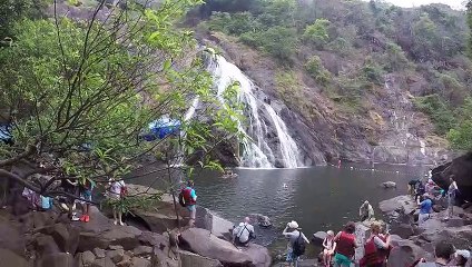 Dudhsagar Falls - Jeep Safari Tour in Goa