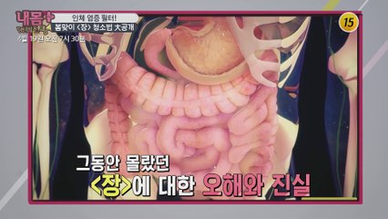 인체 염증 필터! 봄맞이 [장] 청소법 大공개_내 몸 플러스 193회 예고