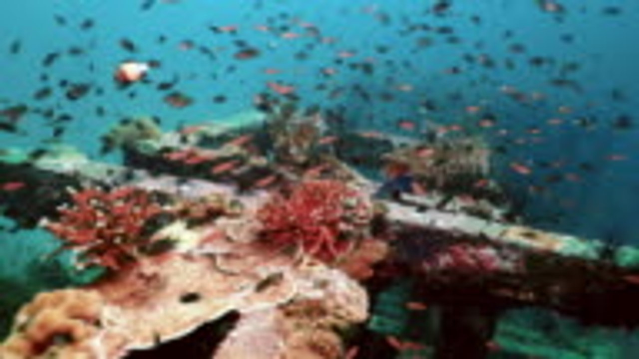 7 Tricks to Help Clean the Oceans