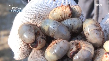 이건 우리 청계 간식이지 (SO COOL)