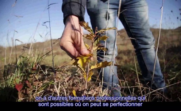 Le métier de technicien dans le domaine forestier : spécialité Forêts et territoires ruraux des techniciens superieurs du ministère de l'Agriculture