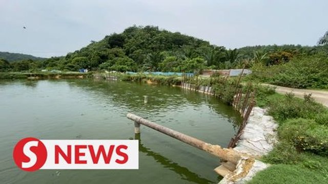 Fish breeding ponds cause of odour pollution in Sungai Selangor