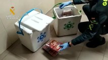 Intervenidos más de 5 kilos de hachís y 200 gramos de cocaína ocultos en dobles fondos de neveras portátiles en Badajoz