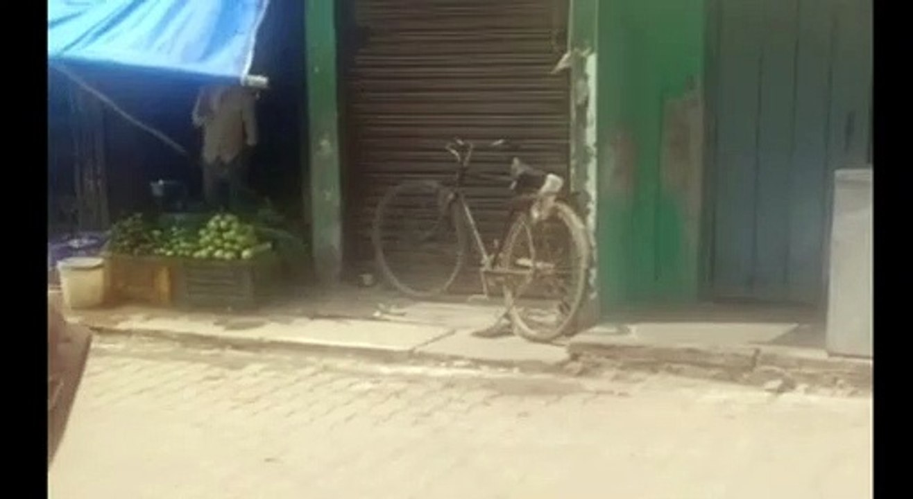 गोण्डा: 2 दिन पूर्व दिल्ली से आया युवक निकला को...