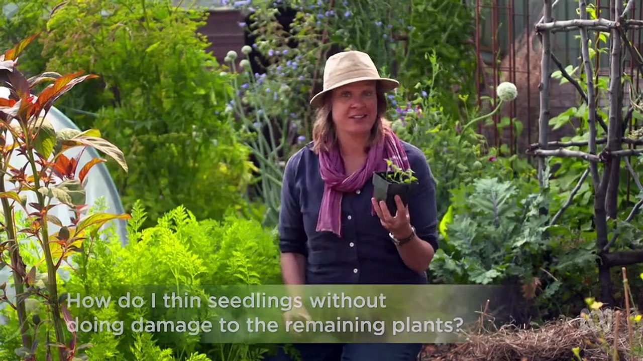 Gardening Australia episode 11 2020 - video Dailymotion