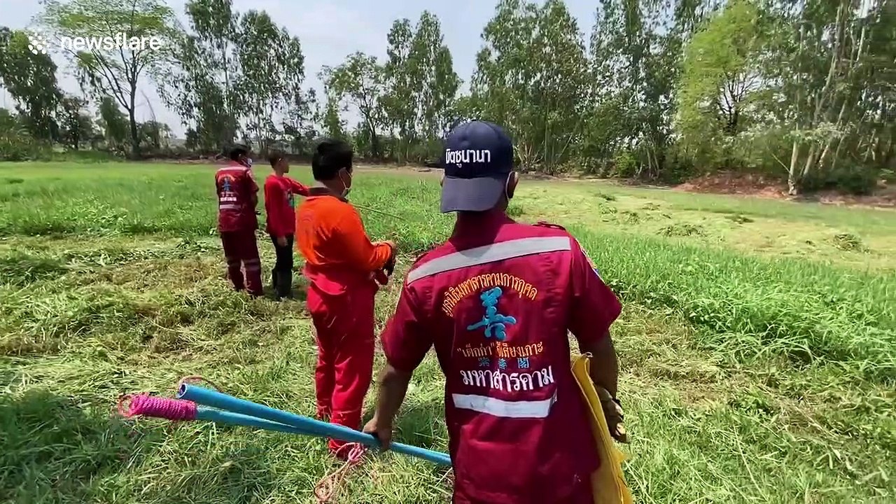 Python caught in Thailand after eating over 20 chickens