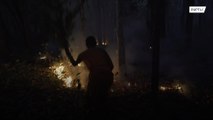 Guardian monk devotes life to protecting local forest from exploitation, destruction