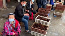 Wet markets in Wuhan struggle to survive despite lifting of China’s lockdown to fight Covid-19