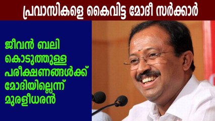 V Muraleedharan about indian expats in foreign countries | Oneindia Malayalam