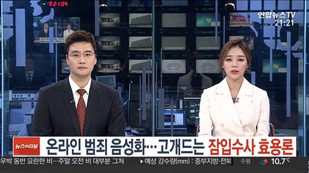 온라인 범죄 음성화…고개드는 잠입수사 효용론