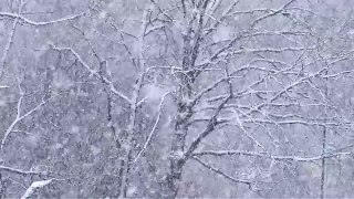Snowfall | Relaxing Sounds