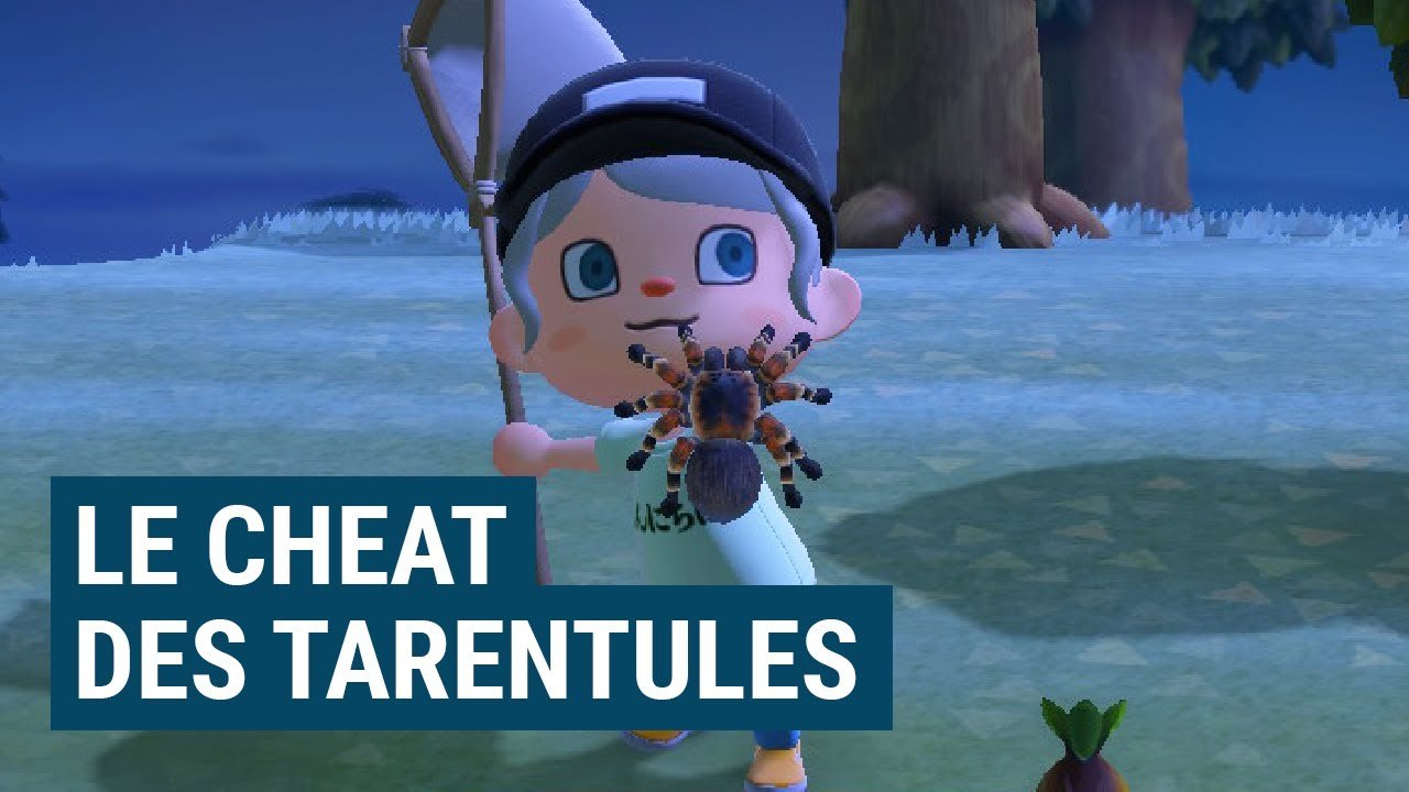 Est-ce LE cheat de ANIMAL CROSSING : NEW HORIZO...