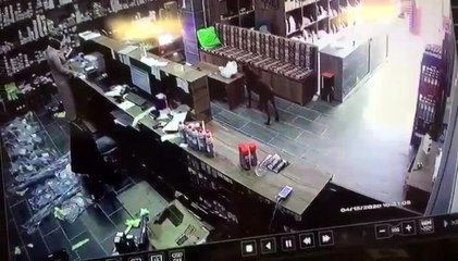 Dükkana giren köpek masadaki poşette bulunan poğaçaları böyle çaldı