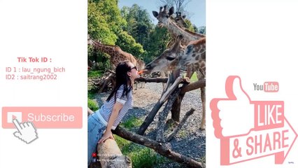 Tik Tok Trang Xinh - Phần 14 ❤️ Những Khoảnh Khắc Hài Hước Và Thú Vị