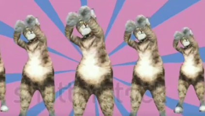 Tom Dance Dheeme Dheeme Dance Cover Video