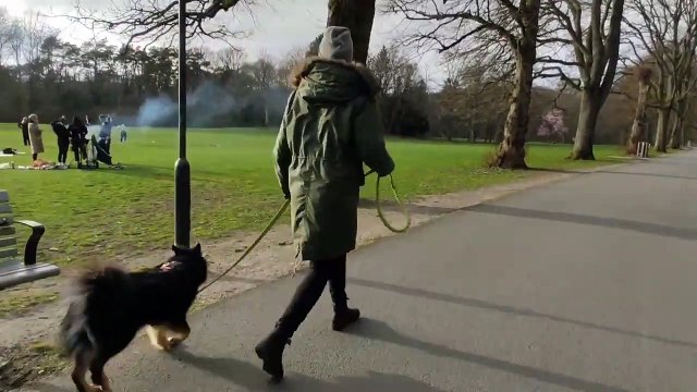 Göteborg, Schweden zu Corona Zeiten - Gothenburg, Sweden during Corona times #4