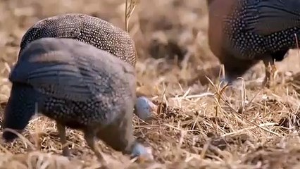 서구출장ㅁㅏ ㅅㅏ ㅈㅣ ▒후불제▒ 070p7620p1146 {카톡UT6728} ' 20대' 서구출장마사지럭셔리 출장@마사지 ♥≦≪