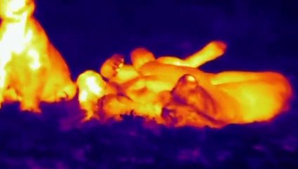 070p7722p8235 {카톡SN92}  서구출장안마☎서구출장안마∩24시환영▨서구출장안마●서구출장안마 서구출장맛사지가격 ♥◜≪