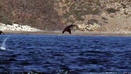 포천출장ㅁㅏ ㅅㅏ ㅈㅣ ▒후불제▒ 070p7620p1146 {카톡UT6728} ' 20대' 포천출장마사지럭셔리 출장@마사지 ♥≪≪