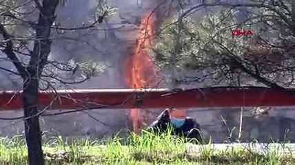 Halkalı'da kağıt fabrikasında yangın