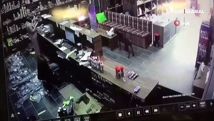Poğaça hırsızı kameralara böyle yakalandı