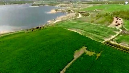 Kaçak balık avına "drone"lu denetim