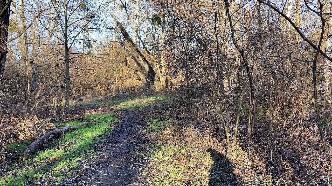 URBEX Guy Clément  L'USINE AUX BICHES  POLOGNE