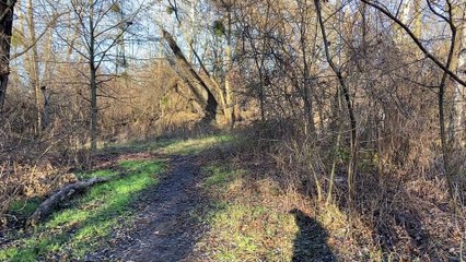 URBEX Guy Clément  L'USINE AUX BICHES  POLOGNE