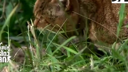 070x7575x0048 {카톡MU46} 서구출장안마☎서구출장안마∩24시환영▨서구출장안마●서구출장안마 서구출장샵후불 ♥≟≪