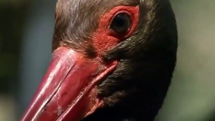 팔달콜걸 ㅣㅣ ☎070p7620p1146 {카톡UT6728} 팔달출장안마 팔달출장샵 팔달출장마사지 ▒ 팔달출장오피 ▒ 팔달출장홈타이 ▒ 팔달출장아로마