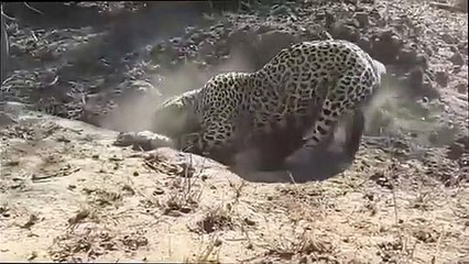 070x7575x0040 {카톡DI69} 종로출장안마☎종로출장안마∩24시환영▨종로출장안마●종로출장안마 종로전국출장샵추천 ♥≬≪