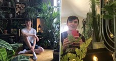 Ce jeune homme possède 1400 plantes d'intérieur dont il prend soin quotidiennement pendant des heures